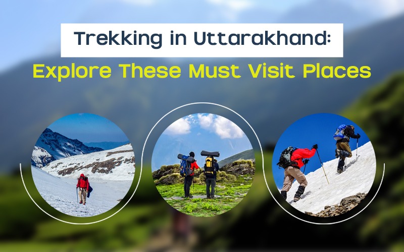 top-safety-tips-for-traveling-during-hmpv-outbreaks